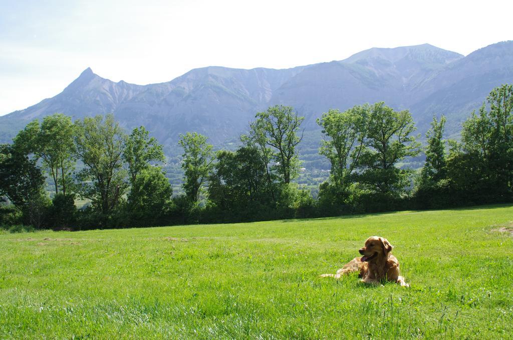Vvf Les Ecrins Champsaur Saint-Bonnet-en-Champsaur Exterior foto