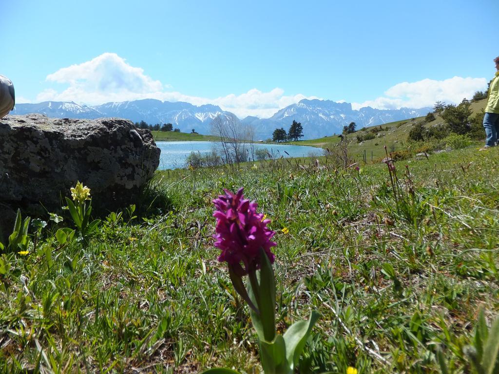 Vvf Les Ecrins Champsaur Saint-Bonnet-en-Champsaur Exterior foto